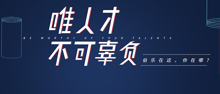 博锐猎头有限公司